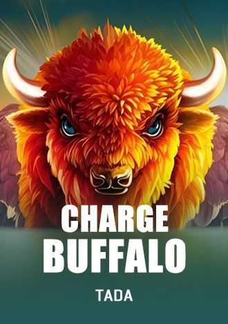 B1 bet entrar