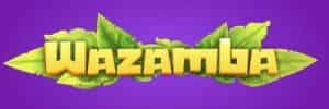 Qual melhor horario para jogar blaze